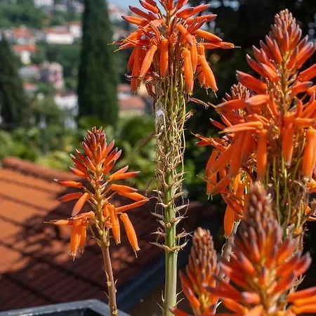 House Mima Holiday home Opatija